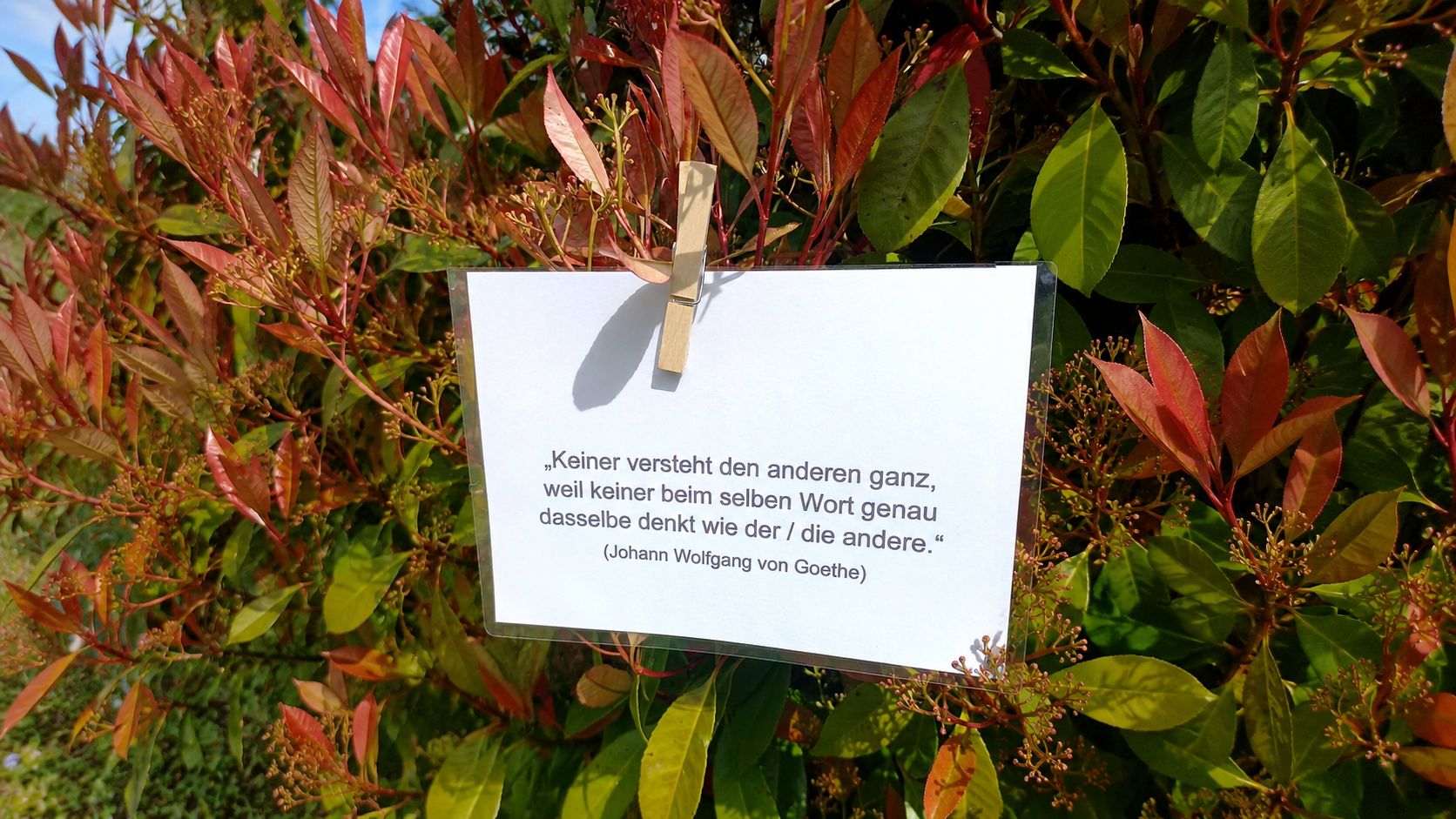 Die Wirkung der Sprache - wie Missverständnisse vermieden werden können.